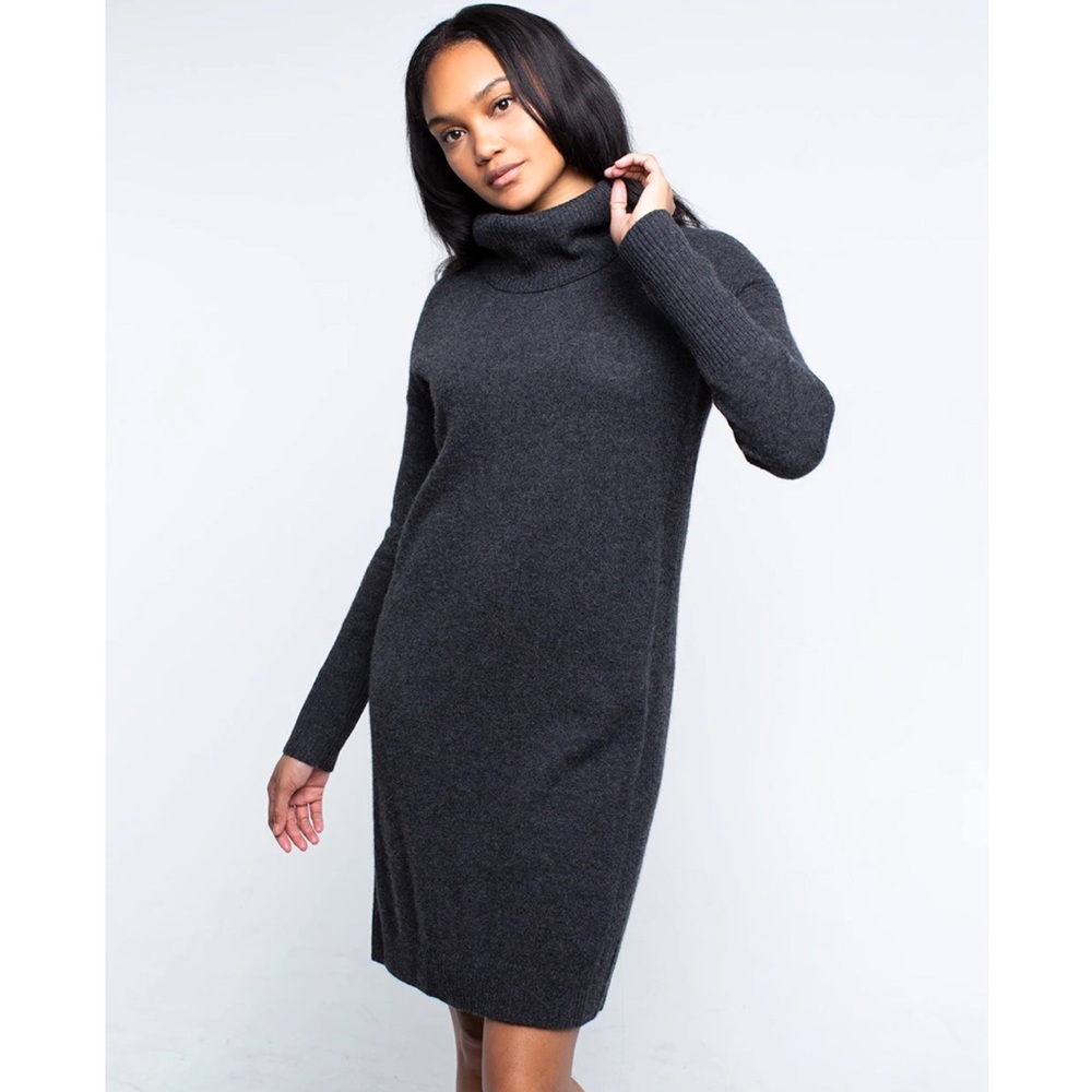 NWT QUINN Cashmere Theodora Cowl Neck Dress in Charcoal